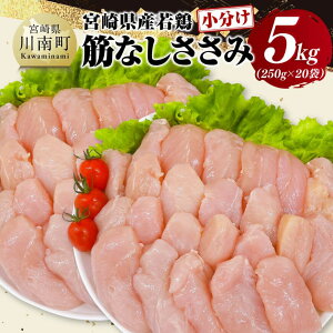 yӂ邳Ɣ[Łzr[Ly[{茧Y{@؂Ȃ5kgi250g×20j - { Ƃ  ^pbN D11619