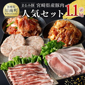 【ふるさと納税】※レビューキャンペーン※「まるみ豚」宮崎県産豚肉 人気セット 計1.1kg - 豚肉 豚 肉 国産 川南町 ウデ モモ ハンバーグ ローススライス バラスライス プルコギ 味噌炒め バラスライス 詰合せ 普段使い スライス2種 おかずに最適 2種類の味付き肉 D11512