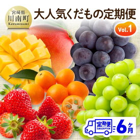 【ふるさと納税】【6ヶ月定期便】大人気くだもの定期便Vol.1 - 川南町産 くだもの いちご イチゴ きんかん マンゴー シャインマスカット ピオーネ B11706t6