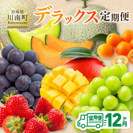 【ふるさと納税】【 12ヶ月定期便 】 デラックス 定期便 - 川南町産 くだもの きんかん いちご 完熟 マンゴー ぶどう ピオーネ シャイン マスカット 大玉 メロン D11717t12