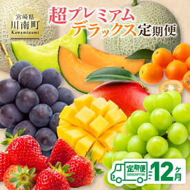 【ふるさと納税】【 12ヶ月定期便 】 超 プレミアム デラックス 定期便 - 川南町産 くだもの きんかん いちご 完熟 マンゴー ぶどう ピオーネ シャイン マスカット 大玉 メロン D11718t12