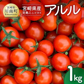 【ふるさと納税】宮崎県産 完熟ミニトマト 「アルル」1kg - 新鮮 アルル ミニトマト とまと 野菜 産地直送 宮崎県産川南町産 送料無料 C11801