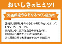 【ふるさと納税】食べきりサイズが人気!うなぎ蒲焼き+鶏もも蒲焼き