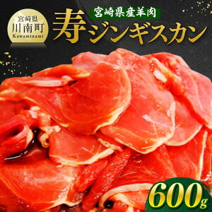 yӂ邳Ɣ[Łz r[Ly[{茧Yr@WMXJ600gi300g×2j -  r Y BY 쒬Y WMXJ r Ђ t ē o[xL[ BBQ {茧 쒬