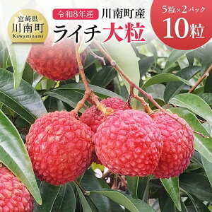 【ふるさと納税】【令和8年産】川南町産ライチ(大粒)10粒(5粒×2パック) - 国産 宮崎県 川南町 ライチ 希少 フルーツ デザート 果物 くだもの 国産ライチ 送料無料 C03203