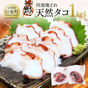 yӂ邳Ɣ[Łzr[Ly[ IVR^Riρj1kgO -  CY nǂ  VR ^R B  nǂ ^ ^ }_R ^ 