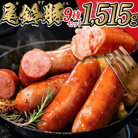 【ふるさと納税】【PREMIUM PORK】尾鈴豚ハム・ソーセージ詰め合わせ 9種セット - 豚肉 豚 肉 ぶた 加工品 ベーコン ウインナー ハム 生ハム 骨付き フランク ソーセージ スモーク ロース 厚切り 粗挽き ボロニア C09208