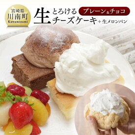 【ふるさと納税】人気 チーズケーキ とろける生チーズケーキ (プレーン＆チョコ) 新食感 ケーキ スイーツ 生クリーム 生メロンパン付 ナチュラルチーズ使用 押川春月堂本店 送料無料