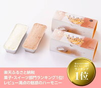 【ふるさと納税】人気の新食感!とろける生チーズケーキ(プレーン&チョコ)