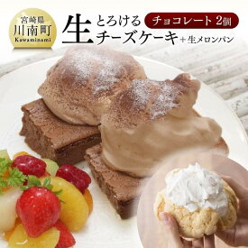 【ふるさと納税】※レビューキャンペーン※ 人気 チーズケーキ とろける生チーズケーキ (チョコ×2個) 新食感 ケーキ スイーツ 生クリーム 生メロンパン ナチュラルチーズ使用 送料無料 G2704