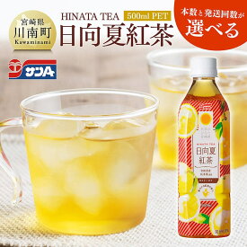 【ふるさと納税】 ※本数と回数が選べる※ サンA日向夏紅茶HINATA　TEA500mlPET- 飲料 日向夏 紅茶 PET ジュース 長期保存 送料無料 定期便 C03013 C03013t3 C03013t6 C03014 C03014t3 C03014t6