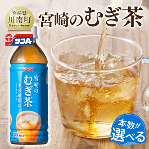 【ふるさと納税】※本数が選べる※ サンA宮崎のむぎ茶 500ml PET - 飲料 お茶 麦茶 宮崎県産 ペットボトル C03021 C03022