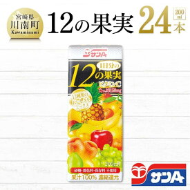 【ふるさと納税】 サンA1日分の12の果実【果汁飲料 果汁100% ジュース 砂糖不使用 保存料不使用 紙パック】F3024