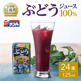 【ふるさと納税】サンA ぶどう ジュース 100％ 紙パック (125ml×24本) 【飲料 ジュース ストレート グレープ ブドウジュース PET セット 着色料・保存料不使用 長期保存 備蓄 九州 宮崎県産 川南町 送料無料 E3004】