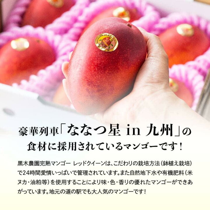 楽天市場】【ふるさと納税】 【令和7年発送】宮崎県産完熟マンゴー 