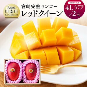 【ふるさと納税】【令和8年発送】宮崎県産完熟マンゴー 「レッドクイーン」4L×2玉 - 果物 フルーツ マンゴー 宮崎県産 完熟マンゴー みやざきマンゴー 先行予約 数量限定 期間限定 C03213
