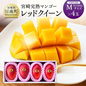 【ふるさと納税】【令和8年発送】宮崎県産完熟マンゴー　「レッドクイーン」M×4玉 - 果物 フルーツ マンゴー 宮崎県産 完熟マンゴー みやざきマンゴー 先行予約 数量限定 期間限定 C03215