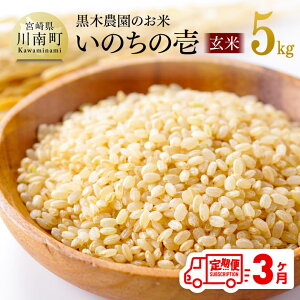 yӂ邳Ɣ[Łzy3ցzyߘa7NYz {茧Y ؔ_̂āû̈()v 5kg -    Y BY {茧Y ̂̂ ɂ C03221t3