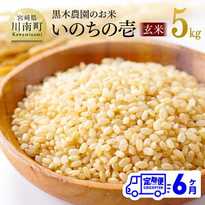 yӂ邳Ɣ[Łzy6ցzyߘa7NYz {茧Y ؔ_̂ û̈()v 5kg -    Y BY {茧Y V ̂̂ ɂ ɂ߂ ͂ 