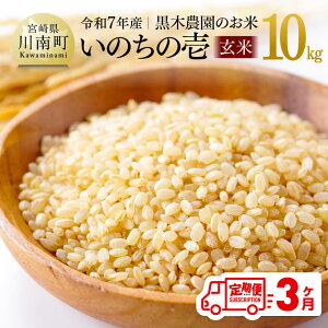 yӂ邳Ɣ[Łzy3ցzyߘa7NYzؔ_̂āû̈()v10kg -    Y BY {茧Y ̂̂ ɂ {茧 쒬  C03222t3