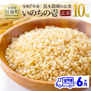 yӂ邳Ɣ[Łzy6ցzyߘa7NYz{茧Y ؔ_̂āû̈()v10kg -    Y BY {茧Y ̂̂ ɂ {茧 쒬  C0322