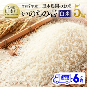 yӂ邳Ɣ[Łzy6ցzyߘa7NYz{茧Y ؔ_̂āû̈()v5kg -    Y BY {茧Y ̂̂ ɂ {茧 쒬  C03223