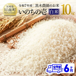 yӂ邳Ɣ[Łzy6ցzyߘa7NYz{茧Y ؔ_̂āû̈()v10kg -    Y BY {茧Y ̂̂ ɂ {茧 쒬  C0322