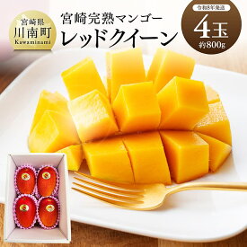 【ふるさと納税】【令和8年発送】宮崎県産完熟マンゴー　「レッドクイーン」4玉(800g) - 果物 フルーツ マンゴー 宮崎県産 完熟マンゴー みやざきマンゴー 先行予約 数量限定 期間限定 C03217