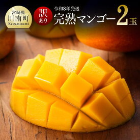 【ふるさと納税】【令和8年発送】【訳あり】宮崎県産完熟マンゴー（ご自宅用）　完熟マンゴー2玉 - 果物 フルーツ マンゴー 宮崎県産 みやざきマンゴー 訳あり 先行予約 数量限定 期間限定 送料無料 C03708