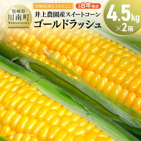 【ふるさと納税】【令和8年発送】宮崎県産とうもろこし　井上農園産スイートコーン(ゴールドラッシュ)4.5kg×2 - トウモロコシ スイートコーン とうきび 新鮮 九州産 宮崎県産 川南町産 朝どれ 農家直送 送料無料 C03902