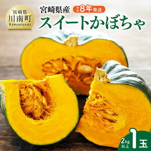 【ふるさと納税】【令和8年発送】宮崎県産 スイートかぼちゃ1玉(2kg以上) - 2026年発送 野菜 かぼちゃ 南瓜 九州産 宮崎県産 川南町産 新鮮 産地直送 C03905