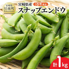【ふるさと納税】 【令和8年発送】宮崎県産　スナップエンドウ1.0kg - 野菜 産地直送 宮崎県産川南町産 送料無料 C03904