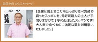 大容量スッポン鍋セット