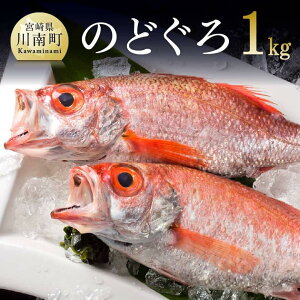 yӂ邳Ɣ[Łzr[Ly[JYII ̂ǂ ( AJc )1kg  N ̂ǂ ނ  { B {茧  VN VN lꂽ 