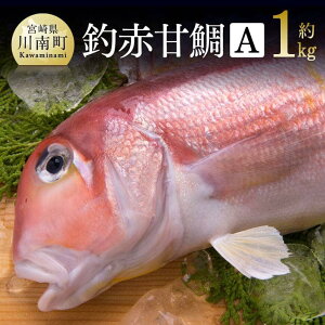 yӂ邳Ɣ[Łzr[Ly[ސԊÑ A {茧Y  A}_C  D04408