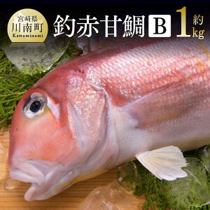 yӂ邳Ɣ[Łzr[Ly[ ސԊÑ B y {茧Y  A}_C N  B { 쒬 VN  C̍K    D04409 z