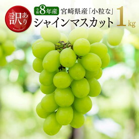 【ふるさと納税】【令和8年産】【訳あり】宮崎県産　小粒なシャインマスカット1kg - シャインマスカット 宮崎県産 九州産 川南町産 ぶどう ブドウ 葡萄 果物 フルーツ 種なし わけあり デザート 数量限定 期間限定 宮崎県 川南町 送料無料 B03401