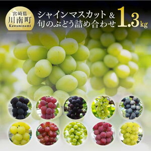 ふるさと納税 ぶどう 詰め合わせの人気商品 通販 価格比較 価格 Com