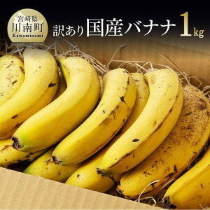 国産 バナナの人気商品 通販 価格比較 価格 Com