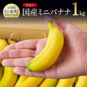yӂ邳Ɣ[Łzr[Ly[y󂠂z Y ~joii 1kg p炲ƃX[W[ɂIXXIyY oii _ t[c ʕ fU[g H X[W[ 