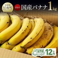 国産バナナ1kg12ヶ月定期便 国産 バナナ 無農薬