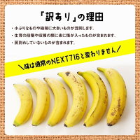 国産バナナ1kg【12ヶ月定期便】 国産 バナナ 無農薬 2枚目