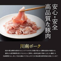 【ふるさと納税】小分けで使いやすい!「安心・安全」川南ポーク小間切れ4.2kgふるさと納税豚肉ふるさと納税豚肉肉小分け豚