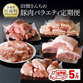 【ふるさと納税】 豚肉 定期便 小間切れや豚肉のブロックが月替わりで届く！田畑さんちの豚肉(川南ポーク)バラエティ定期便　 宮崎県産(川南町産) 肉 送料無料 E5014t5