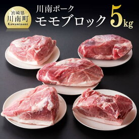 【ふるさと納税】※レビューキャンペーン※川南ポーク モモブロック5kg 宮崎県産 九州産 川南町産 豚肉 ぶた肉 おうちごはん 送料無料 E5010