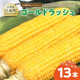 【ふるさと納税】【令和8年発送】　宮崎県産とうもろこし　みやざきフレッシュスイートコーン「ゴールドラッシュ」13本 - トウモロコシ 新鮮 朝どれ 農家直送 産地直送 JA 真空予冷 期間限定 先行予約 宮崎県 川南町 送料無料 C03803