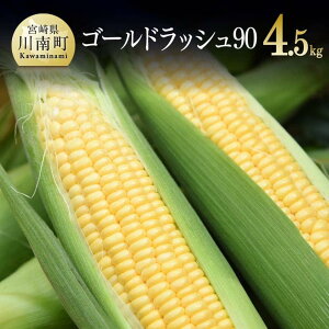 �y�ӂ邳�Ɣ[�Łz�y�ߘa8�N�����z�������񂿂̃X�C�[�g�R�[���w�S�[���h���b�V��90�x4.5kg - ��s�\�� ���ʌ��� ���Ԍ��� 2026�N���� �Ƃ����낱�� �X�C�[�g�R�[�� ���ǂ� �_�ƒ��� ��B�Y �{