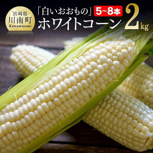 yӂ邳Ɣ[Łz yߘa8Nz񂿂̃XC[gR[úizCgR[jv2kg - s\ ʌ Ԍ 2026N Ƃ낱 XC[gR[ ǂ _ƒ