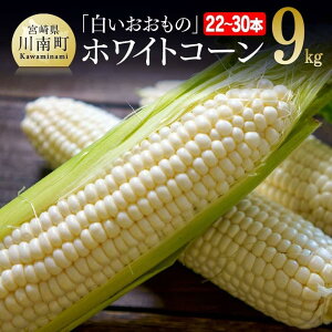 yӂ邳Ɣ[Łz yߘa8Nz񂿂̃XC[gR[úizCgR[jv9kg - s\ ʌ Ԍ 2026N Ƃ낱 XC[gR[ ǂ _ƒ