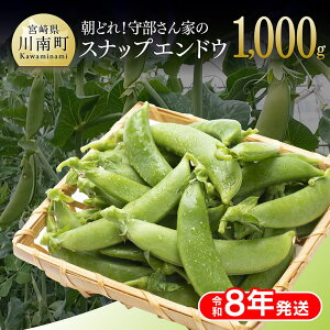 yӂ邳Ɣ[Łzyߘa8NzǂI畔Ƃ̃XibvGhE1.0kg - 2026N BY {茧Y 쒬Y  C06415